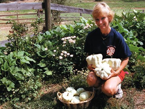 Attack of the Summer Squash, News