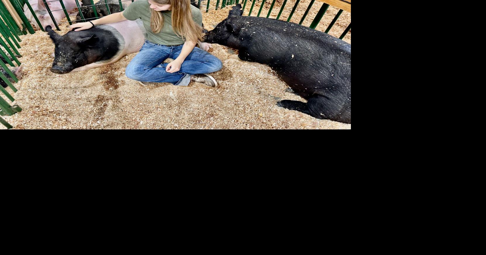 Green acres is the place to be: Nevada County Fair ready to showcase the best of local ag