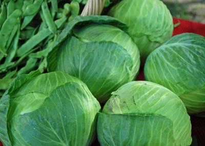 Melinda Myers: Ring in the New Year with traditions, fruits, vegetables