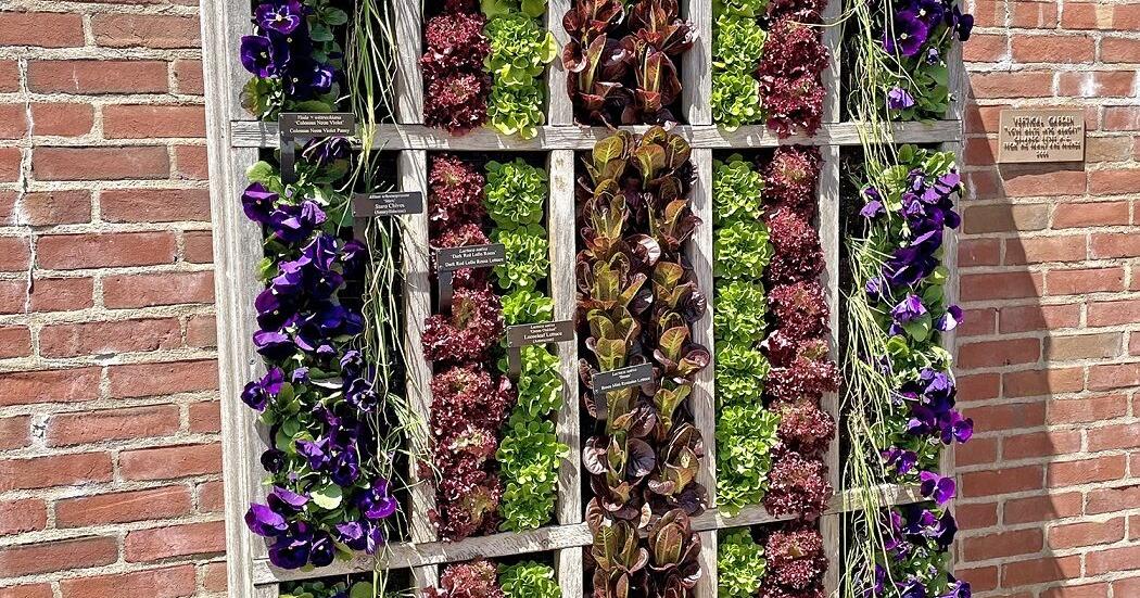 Melinda Myers: Ornamental and edible gardens and containers - Vimarsana News