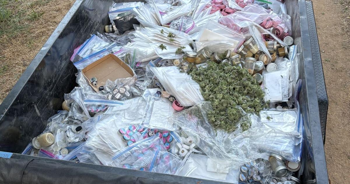 NCSO and CDFW partner for illegal cannabis enforcement