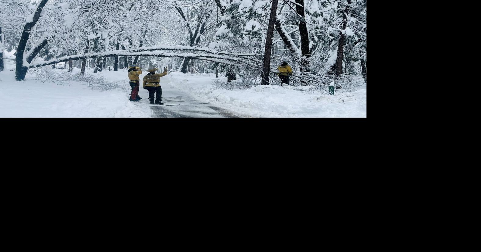 Local task force supports tree removal and power restoration efforts amid winter storm