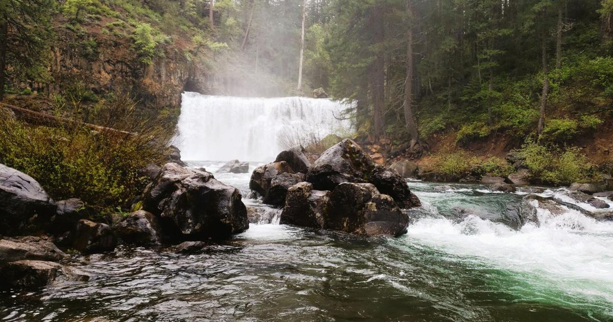 Day hiker: McCloud River Falls Trail