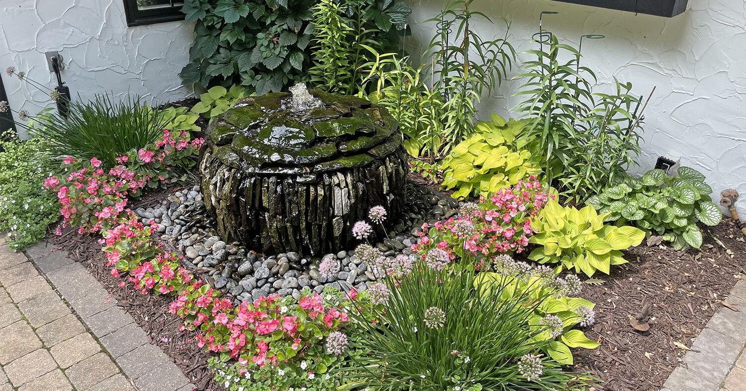 Melinda Myers: Boost the beauty and comfort of your outdoor spaces - Vimarsana News