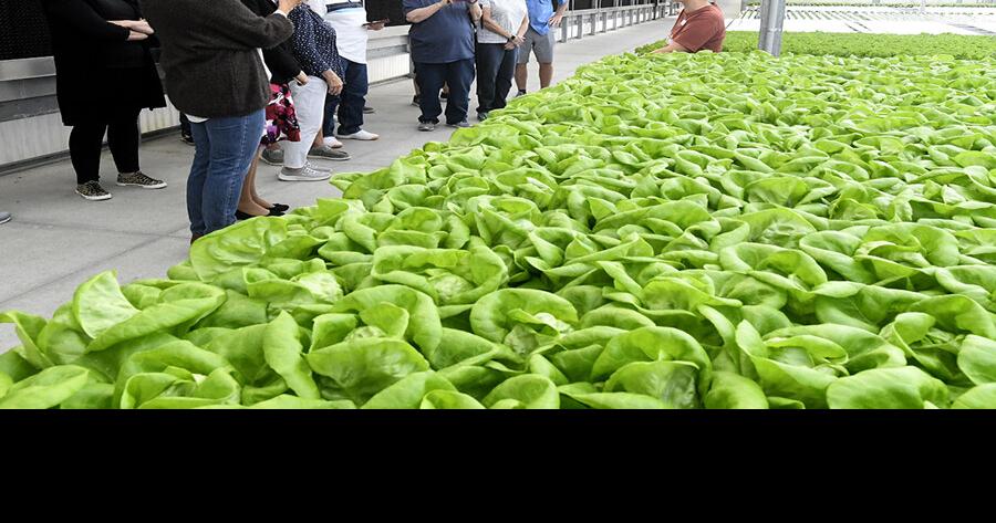 Agritourism growing strong around Sumter