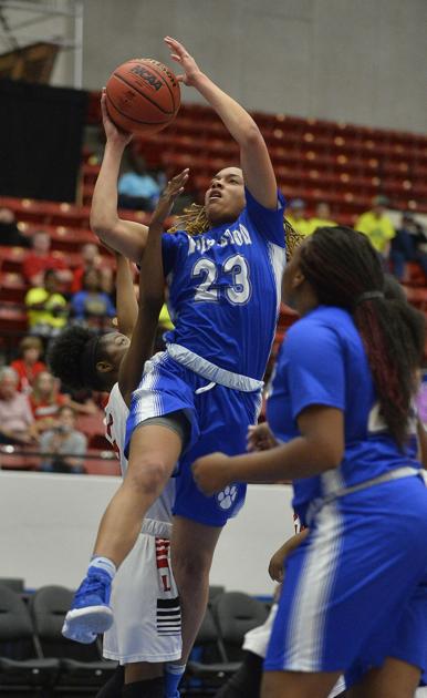 Basketball Thevillagesdailysun Com