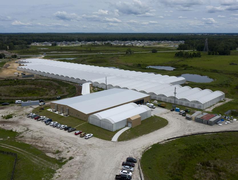 Cultivating fresh local food