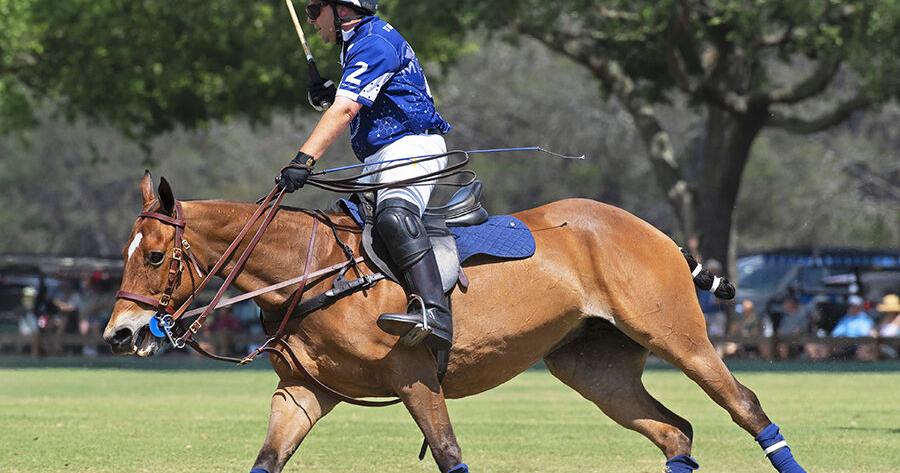 Doc makes horse calls as polo player-owner