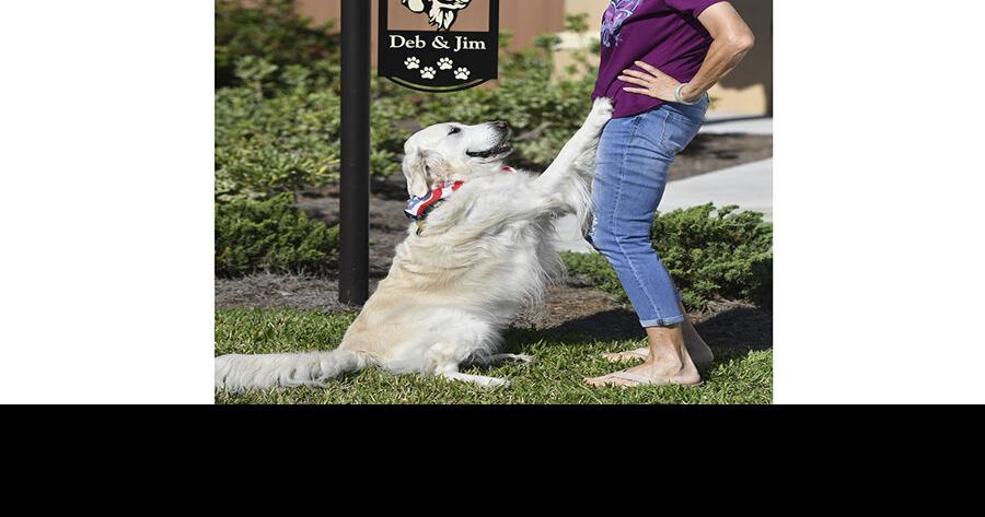 Golden Retriever Club returns for new season