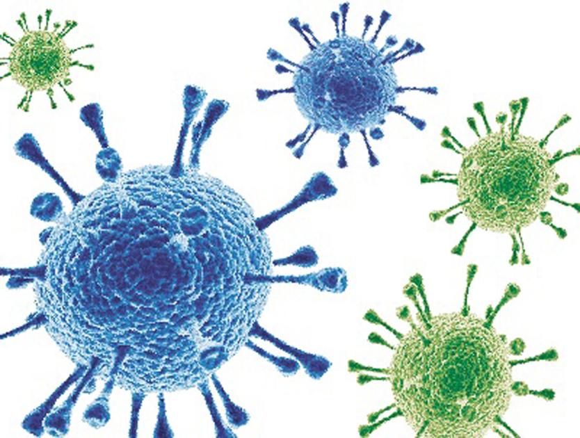 Now is the time to get a flu vaccination