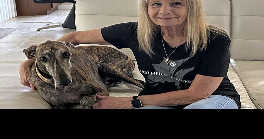 Villages Greyhound Club expands, adopts dogs from foreign charity