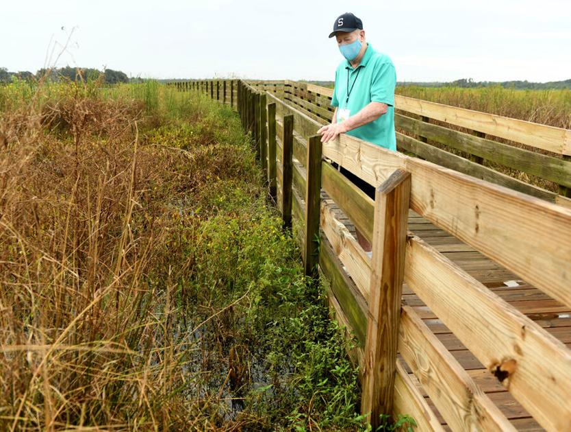 Storms may harm animals, habitat
