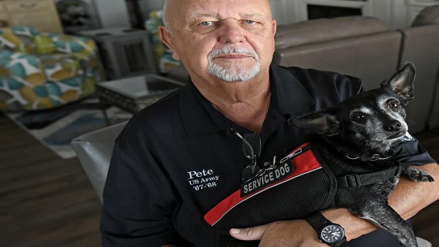 Tampa Bay Lightning Dog Pet Humans Gear