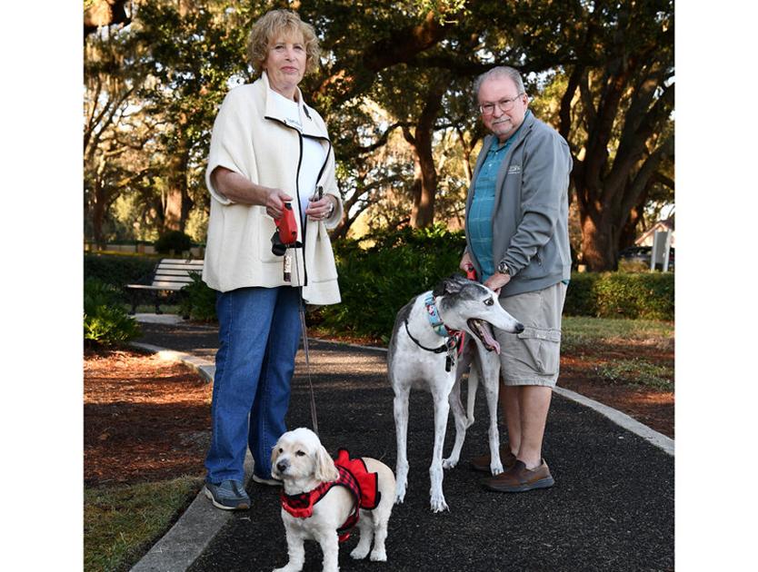 Nonprofit aids with treatment for pets