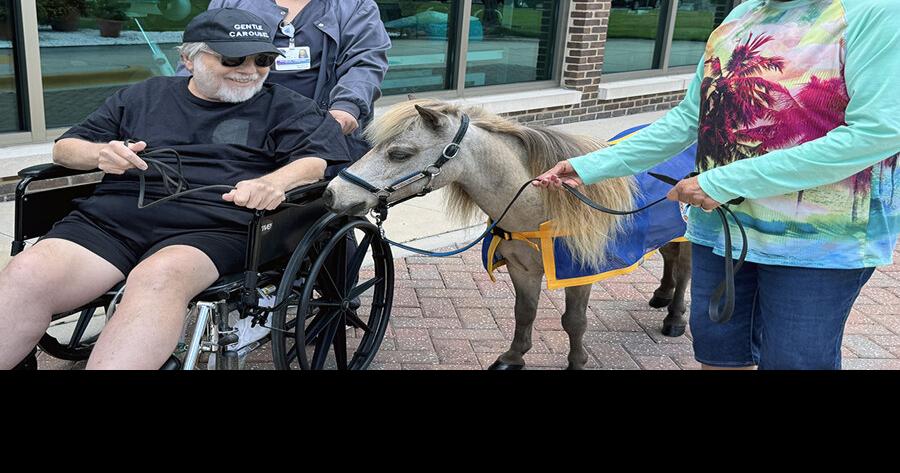 Villager makes a difference with mini therapy horses