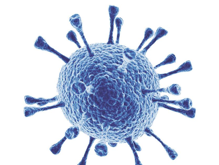 Milder flu season encourages officials