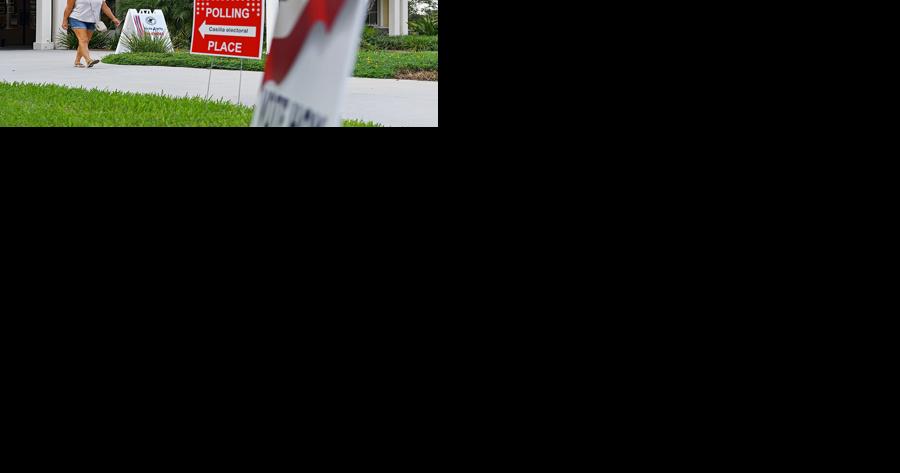 Area voters turn out before Election Day - Vimarsana News