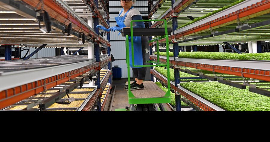 Villages Grown adds meal kits to offerings