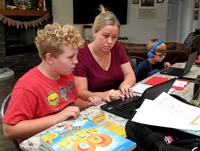 Virtual school options earning high grades