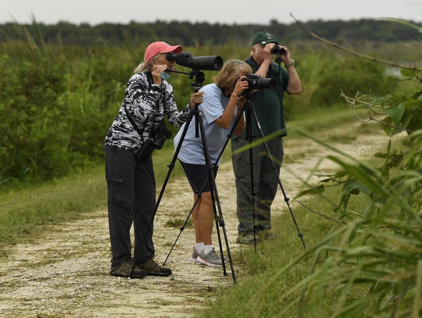 Water districts offer ways to enjoy nature - The Villages Daily Sun