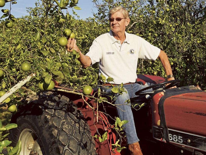 Florida citrus farmers see reason for optimism