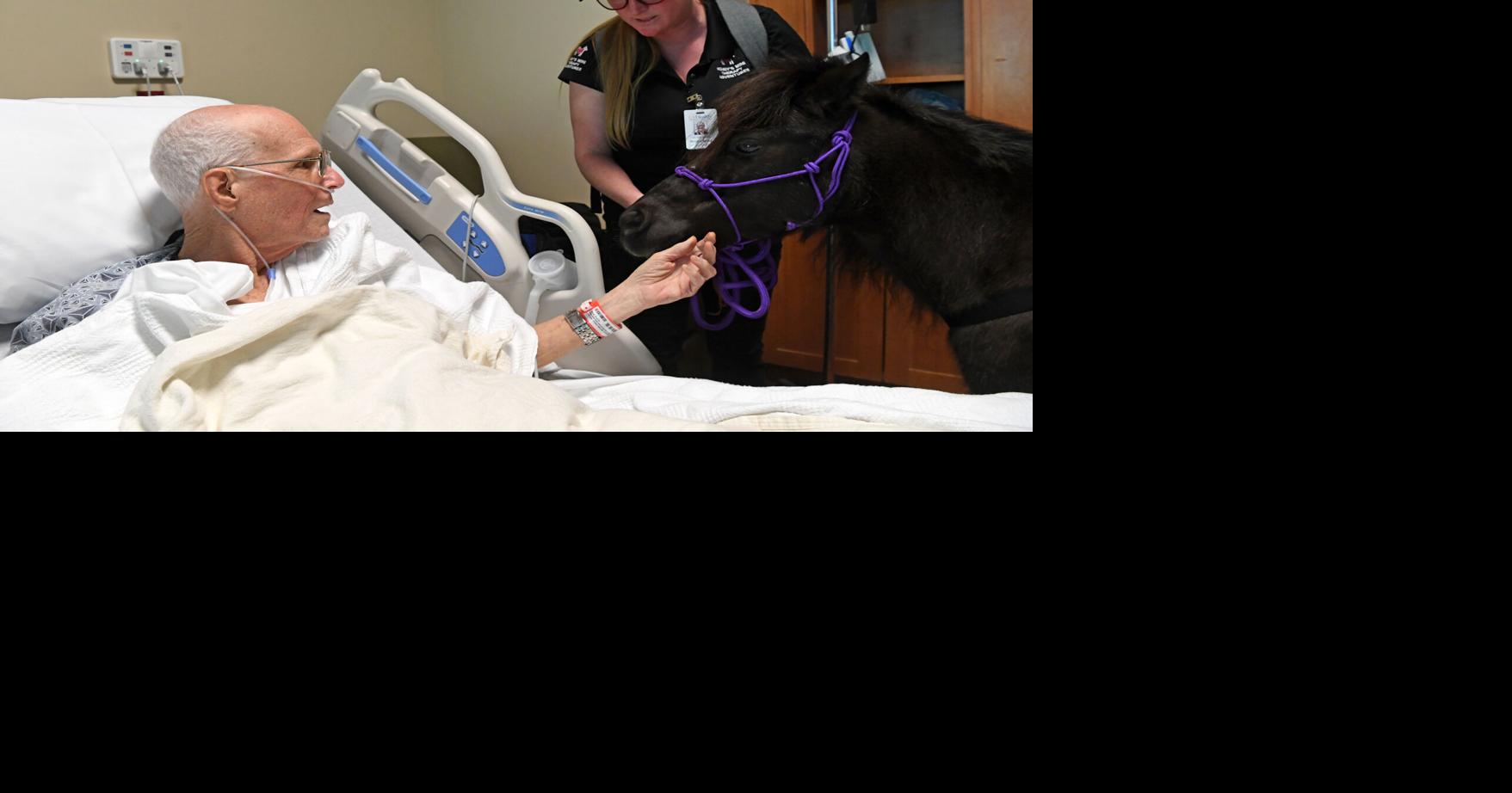 Best of February 2024