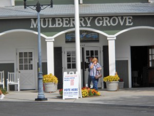 Mulberry grove discount the villages fl