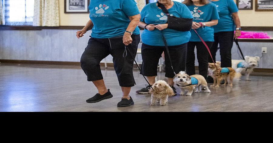 Dynamic Dog Drill Team recruiting new performers