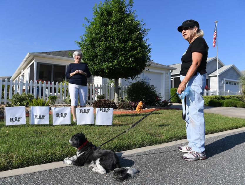 Cat-loving neighborhood riddler has been striking early every day