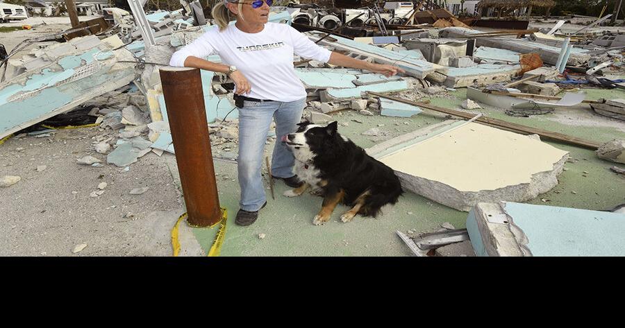 Shelters share hurricane preparation tips for pets