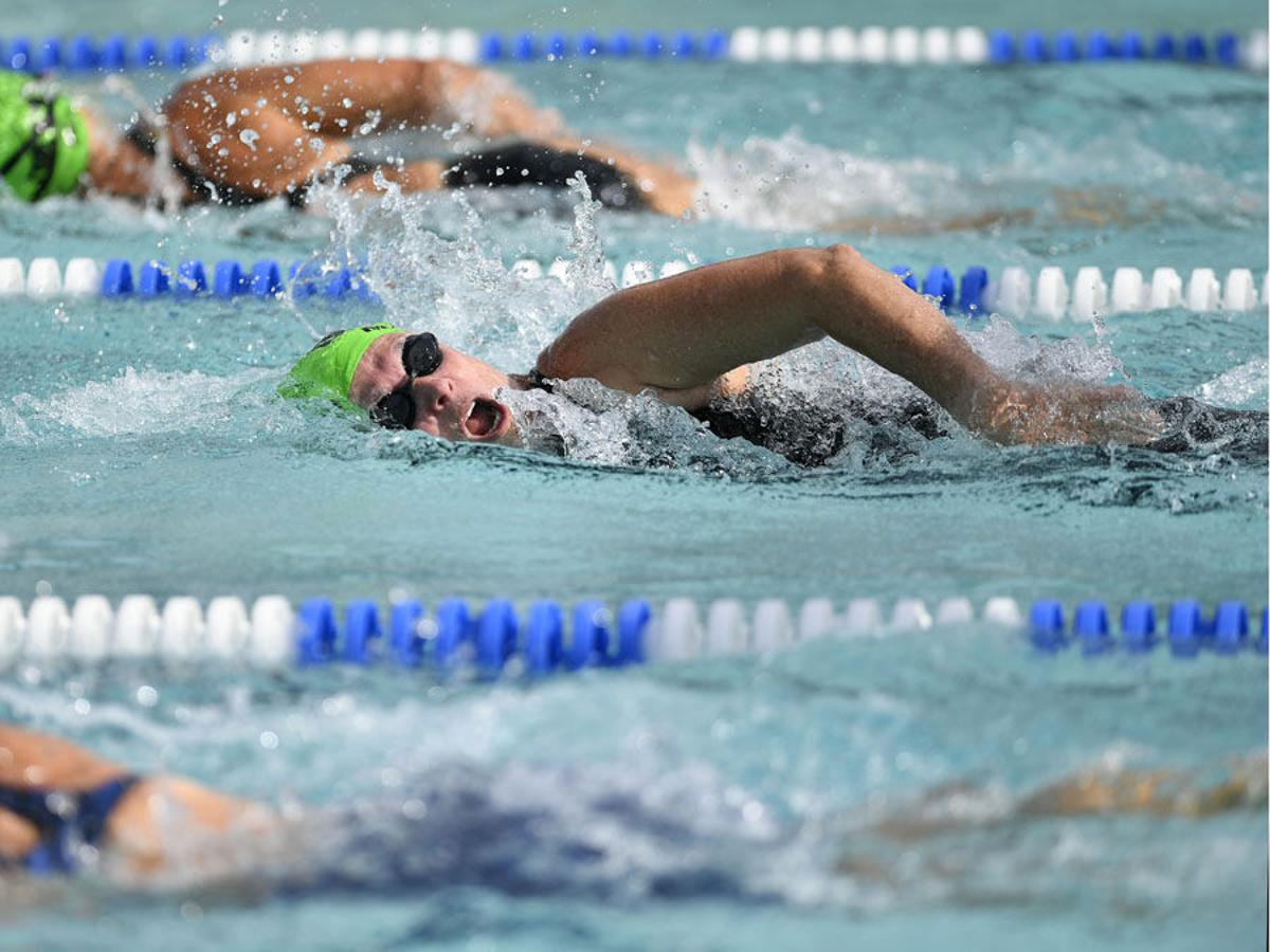 Udml4ehobauy0m Gainesville Florida Senior Games Swimming Results 2022