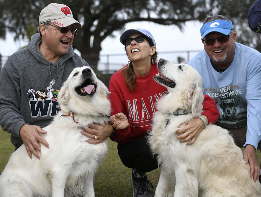 Pooches and people joining canine clubs