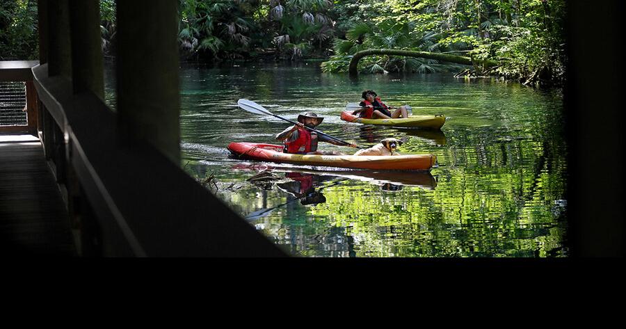 Agencies advocate for Florida’s springs