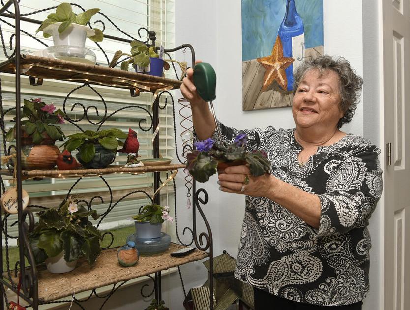 Indoor gardening sprouts popularity