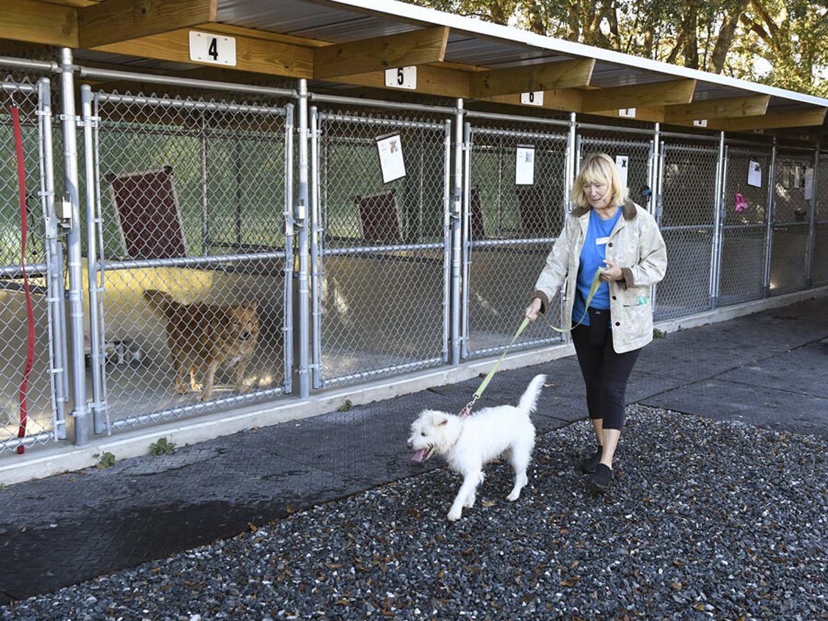 Your Humane Society cuts ribbon on facilities | In Today's Daily Sun | The  Villages Daily Sun 