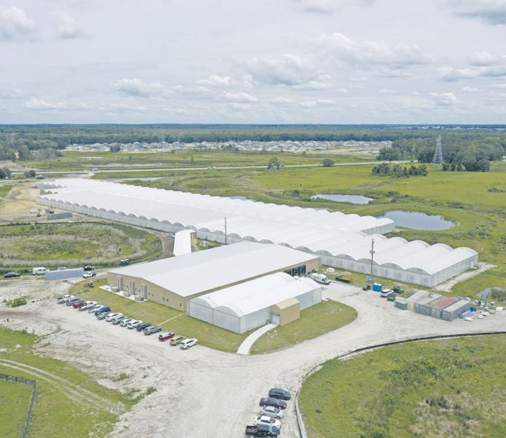 The Villages Grown Cultivates Fresh, Local Food