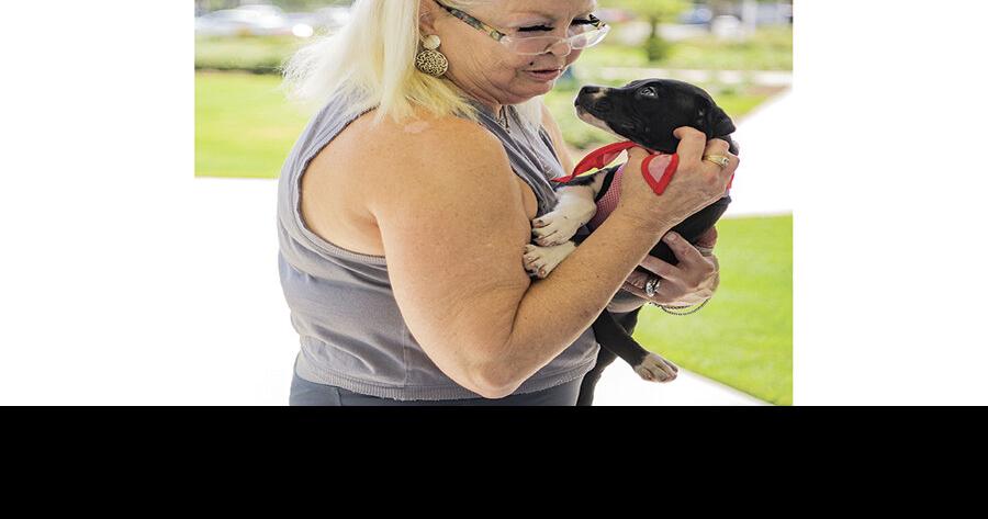 Your Humane Society holds dog adoption event at Rohan Recreation