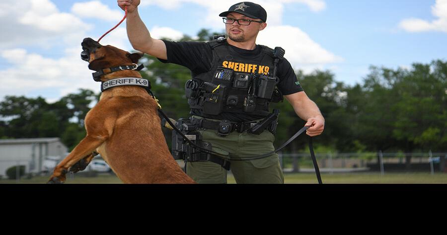 Local agencies take K-9 first aid training course