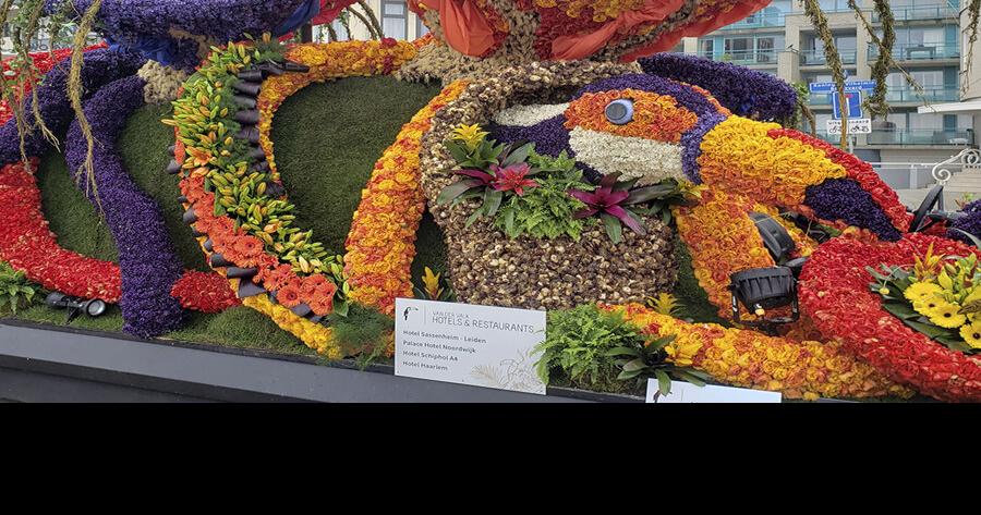 Spring flowers in Netherlands charm Villagers