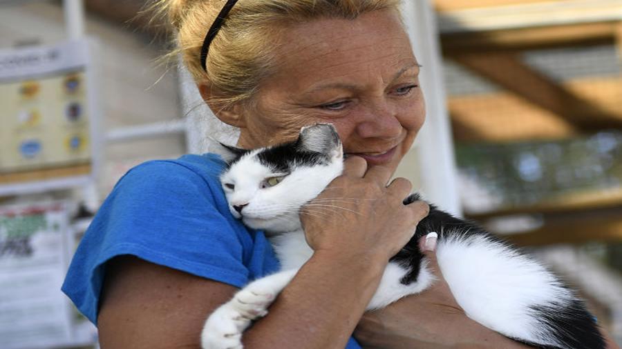 Animal Shelters Adjust To Coronavirus Protocols News The