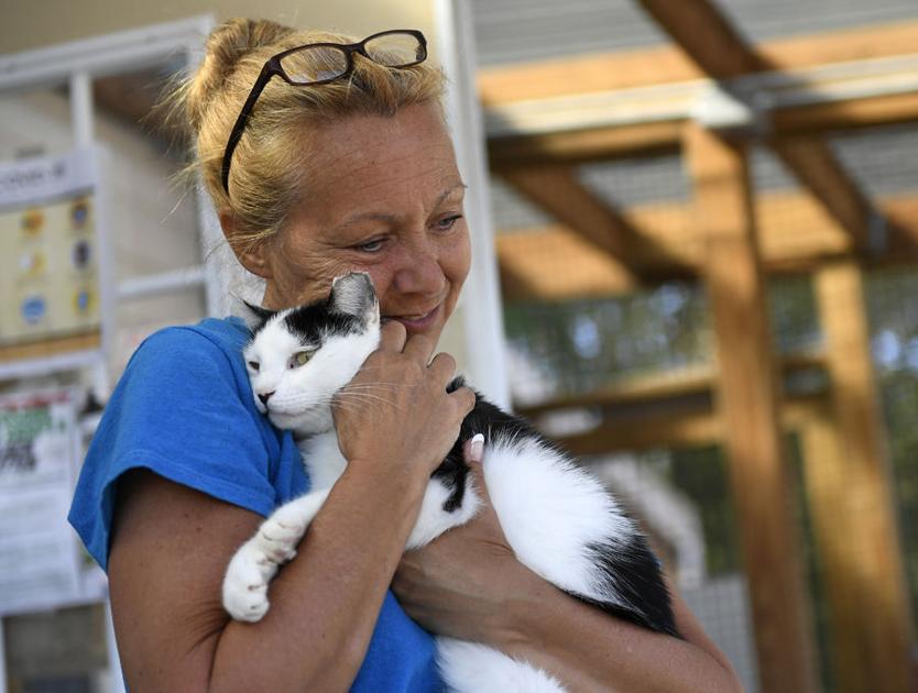 Animal shelters adjust to coronavirus protocols