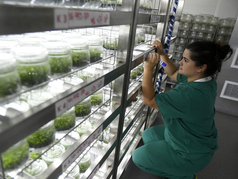 Sumter makes strides over past four years