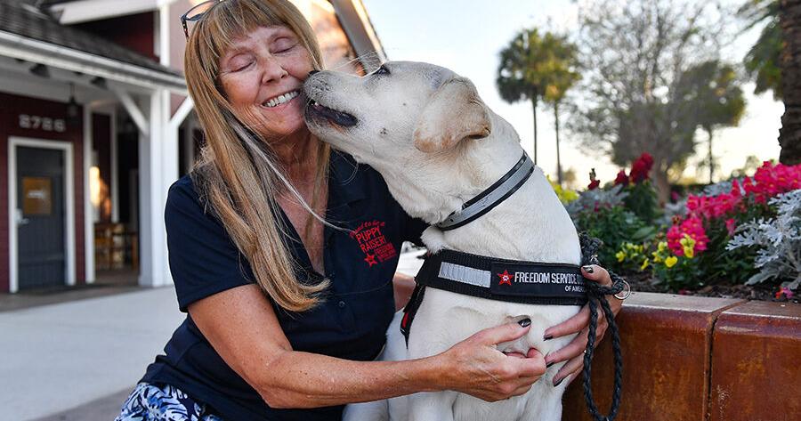 Service dog group needs puppy raisers | News | The Villages Daily Sun