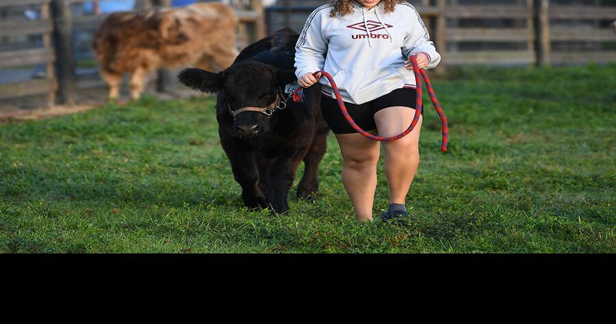 Agriculture students aim for ribbons, sales