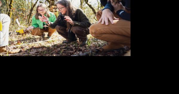 Indigenous stewardship of forests topic of Feb. 7 Oregon State Science Pub - Vimarsana News