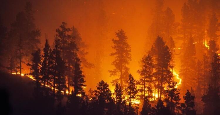 Merkley, Wyden announce over $38 Million coming to Oregon to combat growing wildfire crisis - Vimarsana News