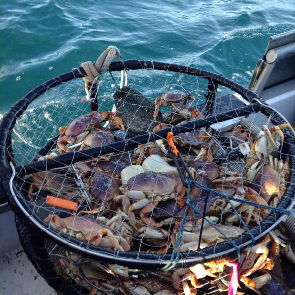 Coast Guard and state wildlife officials monitor Dungeness crab fleet ...