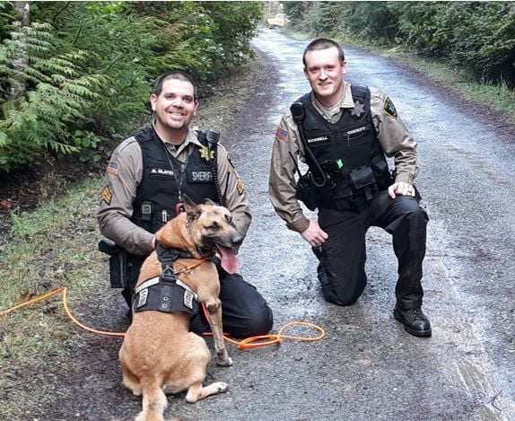 Oregon K-9 officer stuck with more than 200 porcupine quills while pursuing  suspect, police say