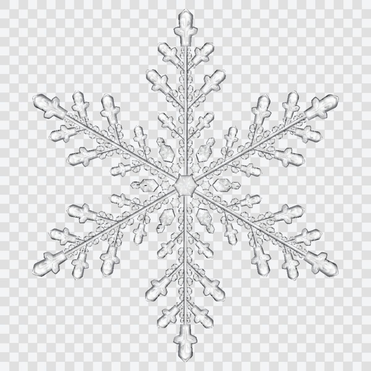 Real Snowflake No Background diversity and development of snow is beautiful Real Snowflake No Background diversity and development of snow is beautiful