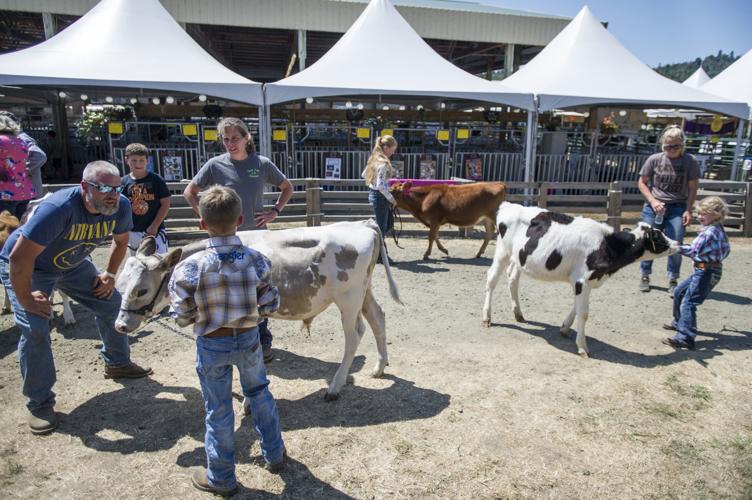 Coos County Fair Photo Collections